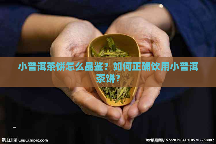 小普洱茶饼怎么品鉴？如何正确饮用小普洱茶饼？