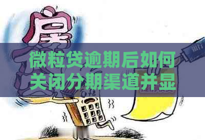 微粒贷逾期后如何关闭分期渠道并显示全款状态？