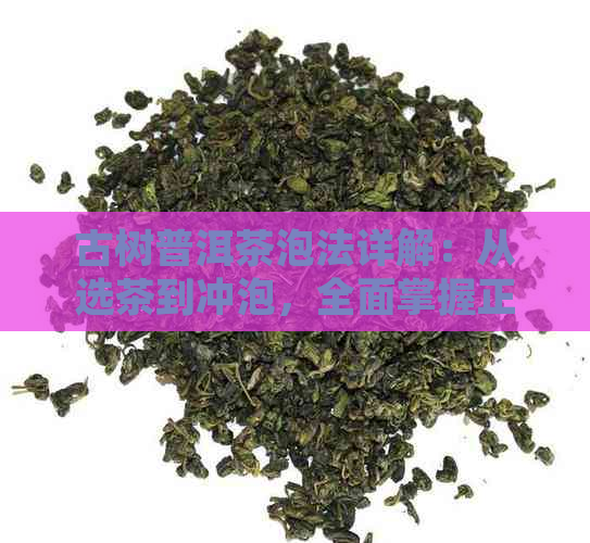 古树普洱茶泡法详解：从选茶到冲泡，全面掌握正确泡茶方法