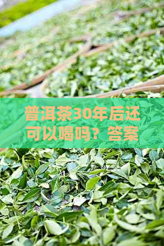 普洱茶30年后还可以喝吗？答案和保存方法揭秘