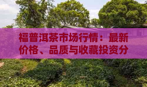 福普洱茶市场行情：最新价格、品质与收藏投资分析