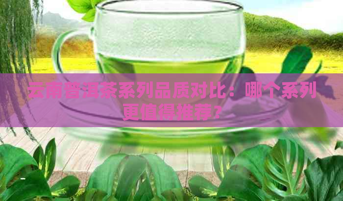 云南普洱茶系列品质对比：哪个系列更值得推荐？