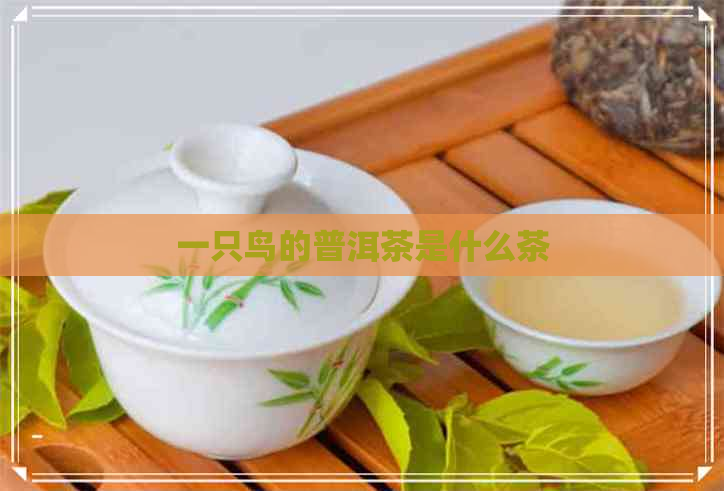 一只鸟的普洱茶是什么茶