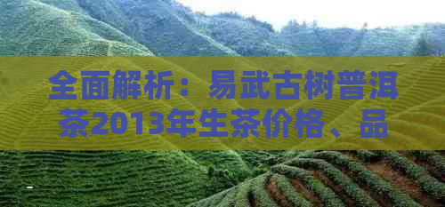 全面解析：易武古树普洱茶2013年生茶价格、品质与口感，助你轻松选购！