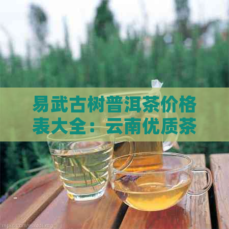 易武古树普洱茶价格表大全：云南优质茶叶的价格信息