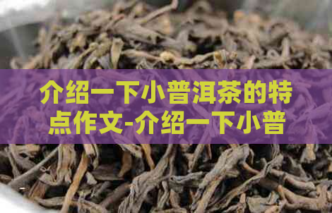 介绍一下小普洱茶的特点作文-介绍一下小普洱茶的特点作文怎么写