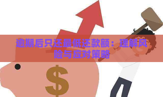 逾期后只还更低还款额：理解风险与应对策略