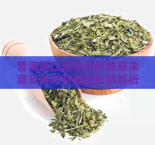 普洱茶口感中的微酸感来源及其对茶质的影响解析