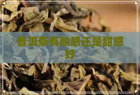 普洱茶有酸感还是甜感好