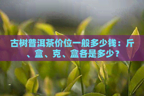 古树普洱茶价位一般多少钱：斤、盒、克、盒各是多少？