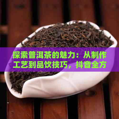 探索普洱茶的魅力：从制作工艺到品饮技巧，抖音全方位解析普洱茶世界