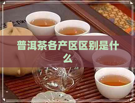 普洱茶各产区区别是什么