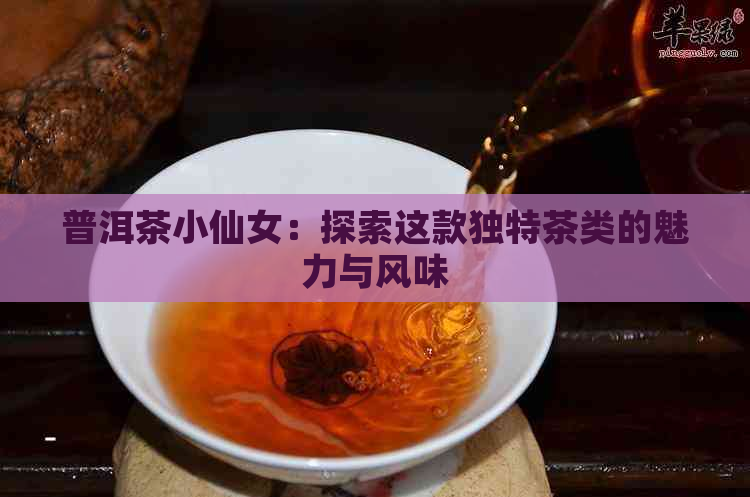 普洱茶小仙女：探索这款独特茶类的魅力与风味