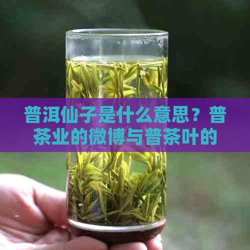 普洱仙子是什么意思？普茶业的微博与普茶叶的普洱仙子相关。