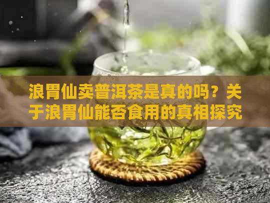 浪胃仙卖普洱茶是真的吗？关于浪胃仙能否食用的真相探究