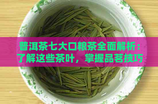 普洱茶七大口粮茶全面解析：了解这些茶叶，掌握品茗技巧和功效