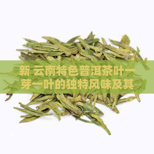 新 云南特色普洱茶叶一芽一叶的独特风味及其制作工艺