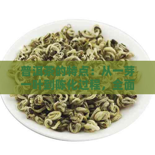 普洱茶的特点：从一芽一叶到陈化过程，全面了解这种中国茶叶的魅力