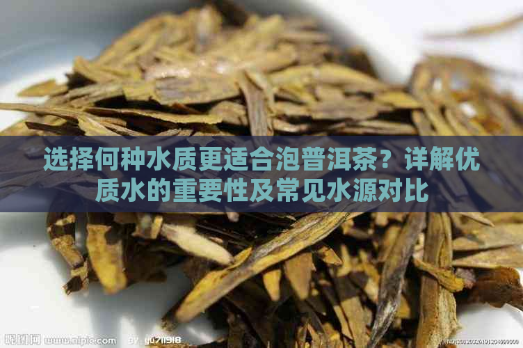 选择何种水质更适合泡普洱茶？详解优质水的重要性及常见水源对比