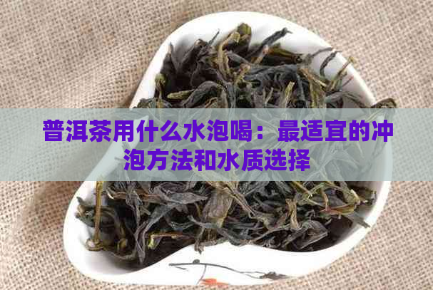 普洱茶用什么水泡喝：最适宜的冲泡方法和水质选择