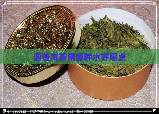 泡普洱茶用哪种水好喝点