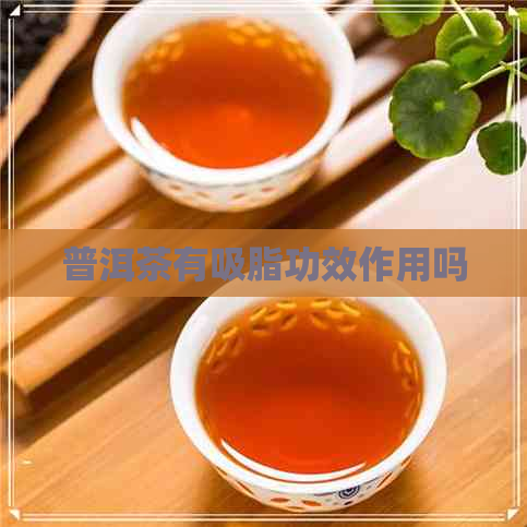 普洱茶有吸脂功效作用吗