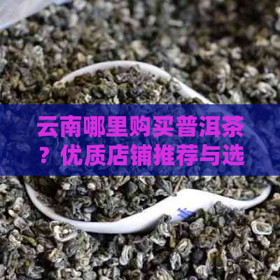 云南哪里购买普洱茶？优质店铺推荐与选购指南