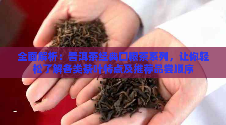 全面解析：普洱茶经典口粮茶系列，让你轻松了解各类茶叶特点及推荐品尝顺序