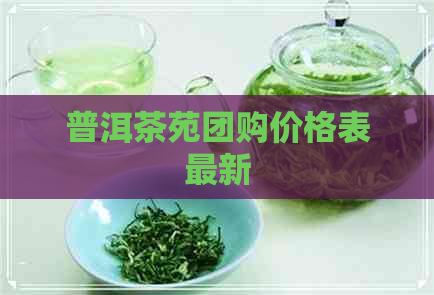 普洱茶苑团购价格表最新