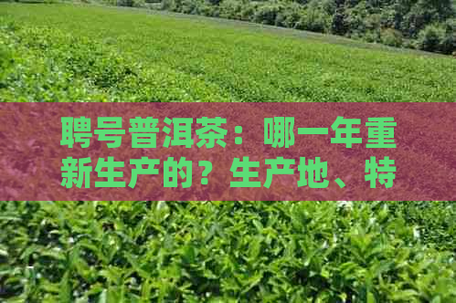 聘号普洱茶：哪一年重新生产的？生产地、特点和品鉴方法全面解析