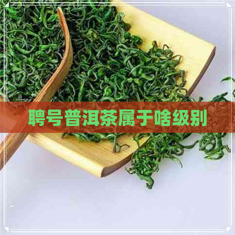 聘号普洱茶属于啥级别