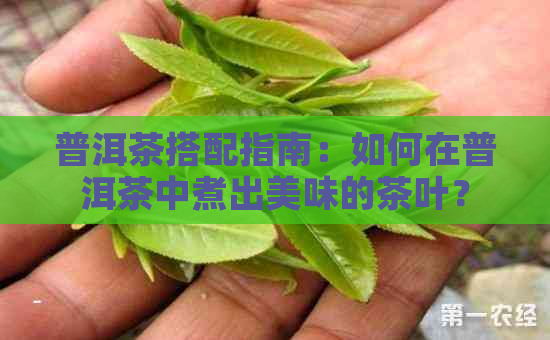 普洱茶搭配指南：如何在普洱茶中煮出美味的茶叶？