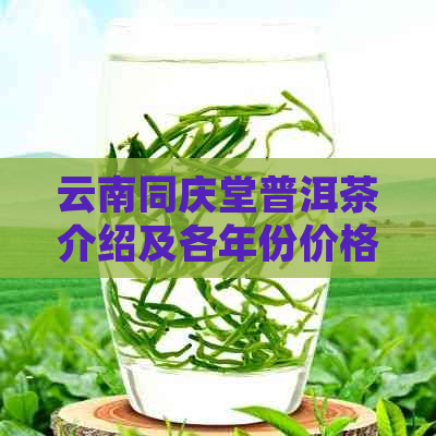 云南同庆堂普洱茶介绍及各年份价格一览表