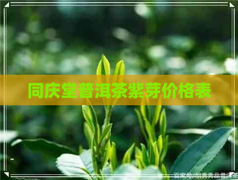 同庆堂普洱茶紫芽价格表