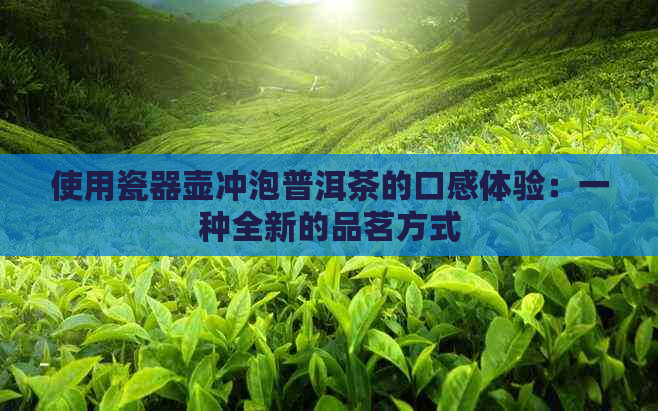 使用瓷器壶冲泡普洱茶的口感体验：一种全新的品茗方式