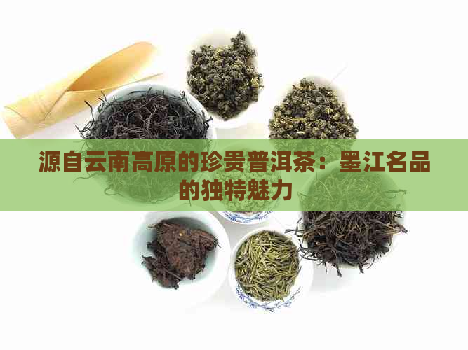 源自云南高原的珍贵普洱茶：墨江名品的独特魅力