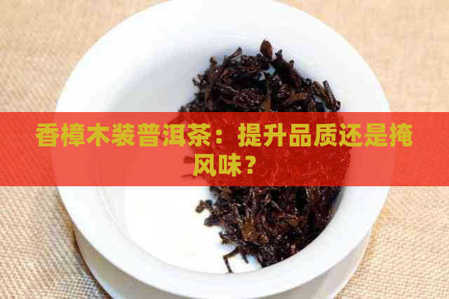 香樟木装普洱茶：提升品质还是掩风味？