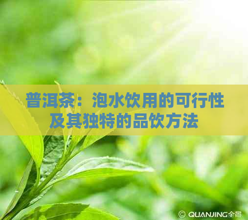 普洱茶：泡水饮用的可行性及其独特的品饮方法