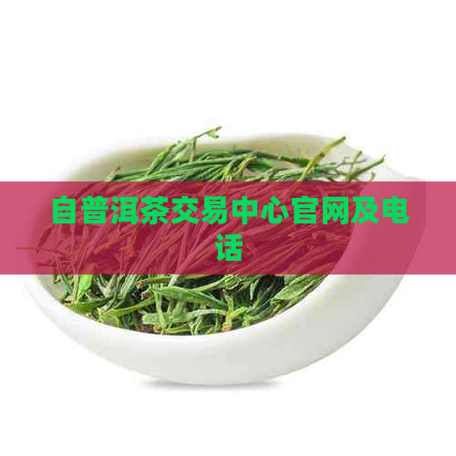 自普洱茶交易中心官网及电话