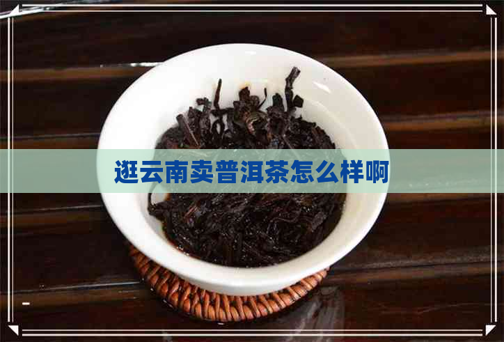 逛云南卖普洱茶怎么样啊