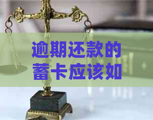 逾期还款的蓄卡应该如何处理？全面解决方案助你轻松应对