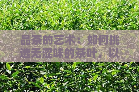 品茶的艺术：如何挑选无涩味的茶叶，以及涩味成因与鉴方法