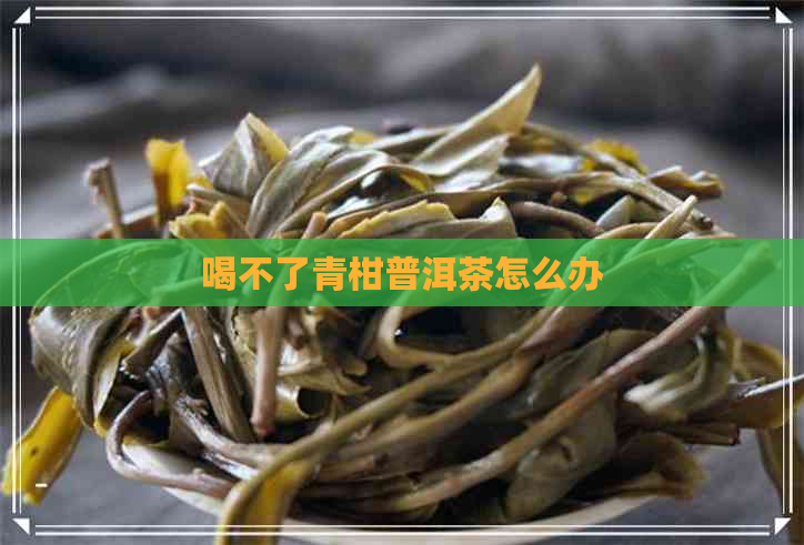 喝不了青柑普洱茶怎么办