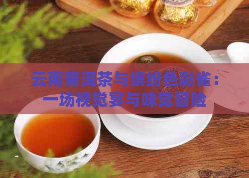 云南普洱茶与缤纷色彩雀：一场视觉宴与味觉冒险