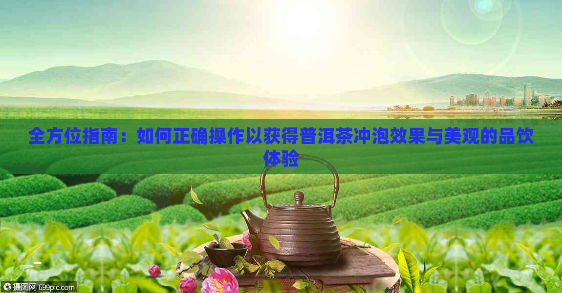 全方位指南：如何正确操作以获得普洱茶冲泡效果与美观的品饮体验