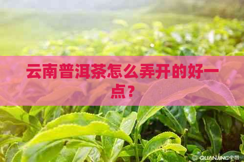 云南普洱茶怎么弄开的好一点？