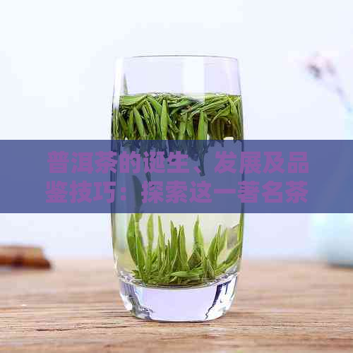 普洱茶的诞生、发展及品鉴技巧：探索这一著名茶叶的历与口感