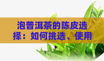 泡普洱茶的陈皮选择：如何挑选、使用及搭配，全面解答您的疑问