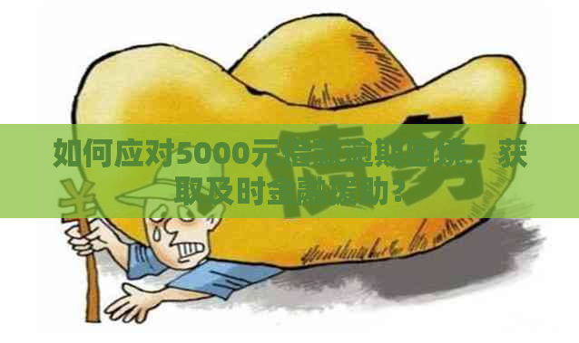 如何应对5000元借款逾期困境，获取及时金融援助？