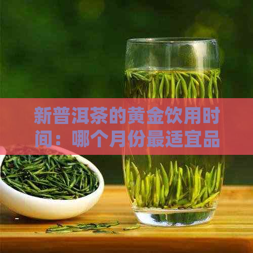 新普洱茶的黄金饮用时间：哪个月份最适宜品尝？